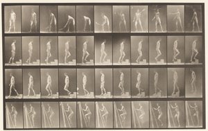 Tallrik 486. A, Grästennis; B, Stigande ett steg;, 1872-1885 av Eadweard Muybridge