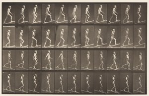 Plåt 489. A, Stigande lutning;, 1872-1885 av Eadweard Muybridge