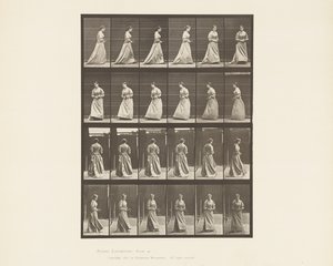 Tavla 48. Gå och vända sig om bukett i båda händerna, 1885 av Eadweard Muybridge
