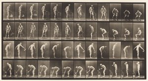 Tavla 490. A, Sittande; B, sitta ner; C, Stänk vatten av Eadweard Muybridge