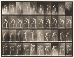 Tavla 491. A, Hamring vid städet; B, hamra på städet av Eadweard Muybridge