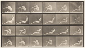 Plåt 492. A av Eadweard Muybridge