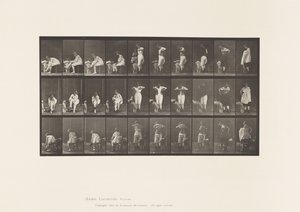 Skylt 494. Diverse faser av toaletten av Eadweard Muybridge