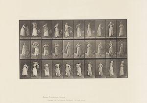 Skylt 495. Diverse faser av toaletten av Eadweard Muybridge
