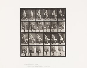 Plåt 49. Gå och vända sig snabbt av Eadweard Muybridge