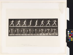 Plåt 4. Gå av Eadweard Muybridge