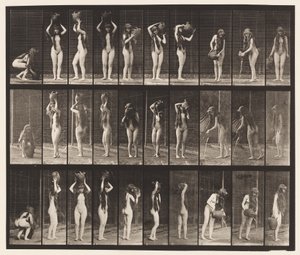 Tallrik 500. Olika rörelser med vattenburk av Eadweard Muybridge