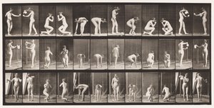 Tallrik 501. Diverse, Böjande, Knästående, mm. av Eadweard Muybridge