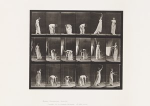 Plåt 503. Övrigt - Böjning m.m av Eadweard Muybridge