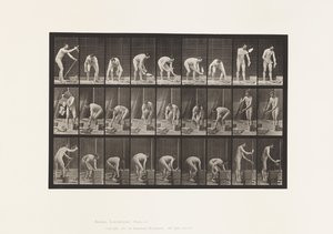Plåt 505. Murning av Eadweard Muybridge
