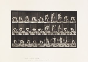 Tavla 506. Murning av Eadweard Muybridge