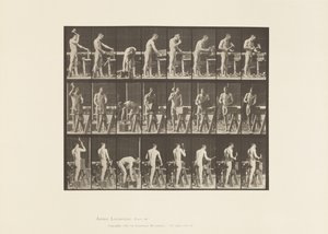 Plåt 507. Snickeri av Eadweard Muybridge