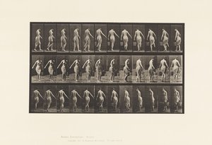 Tallrik 50. Går, bär en hink av Eadweard Muybridge