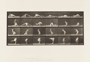 Plåt 510. Vridningar på marken, 1872-1885 av Eadweard Muybridge