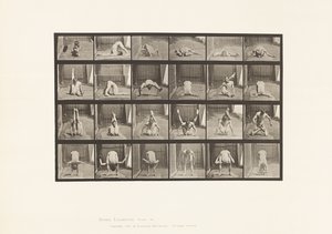 Plåt 511. Vridningar på marken av Eadweard Muybridge