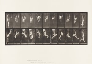 Plåt 512. Vridningar på ringar av Eadweard Muybridge