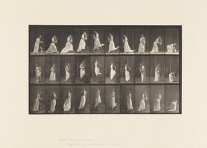 Tavla 515. Uppåtgående och nedåtgående trappor, etc., 1885 av Eadweard Muybridge