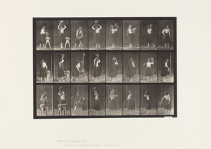 Tallrik 517. Diverse rörelser med vattenburk av Eadweard Muybridge