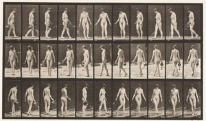 Plåt 51. Gå och vända sig om med sprinklingskruka, 1872-1885 av Eadweard Muybridge