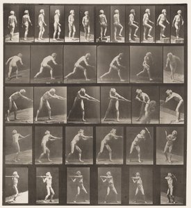 Tavla 521. A, Walking; B, Stigande Steg; C, Kastskiva av Eadweard Muybridge