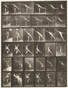 Plåt 523. A, Slå ett slag; B, Kastskiva; av Eadweard Muybridge