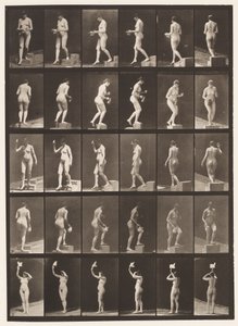 Plåt 525. A, nedstigande steg; B, Stigande Steg;, 1872-1885 av Eadweard Muybridge