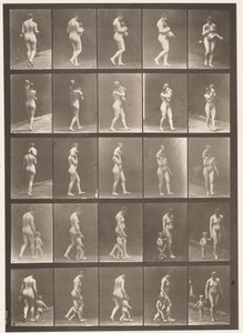 Plåt 528. A,B,C av Eadweard Muybridge