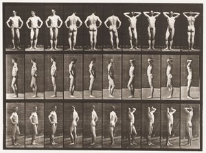 Tallrik 530. Olika Poser av Eadweard Muybridge
