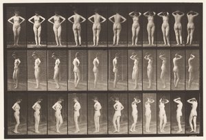 Tallrik 531. Olika Poser av Eadweard Muybridge