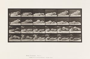 Tavla 536. Handens rörelse; Händer som byter penna av Eadweard Muybridge