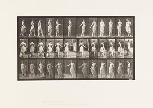 Tavla 53. Gå, spridning av blommor och vändning av Eadweard Muybridge