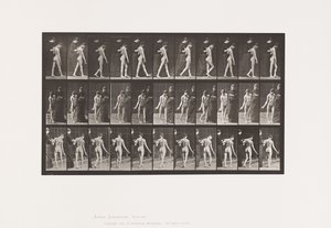 Platta 541. Multipel cerebro-spinal skleros (choreic); Gående av Eadweard Muybridge