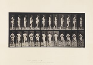 Tallrik 542. Multipel cerebro-spinal skleros - promenader av Eadweard Muybridge