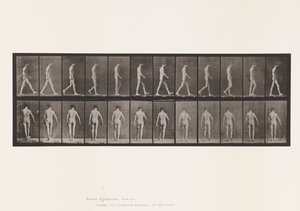 Platta 546.Locomotor Ataxi; Vandring, 1885 av Eadweard Muybridge
