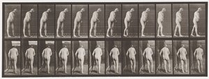 Tallrik 547.Hemiplegi; Walking with Crutch, 1885 av Eadweard Muybridge