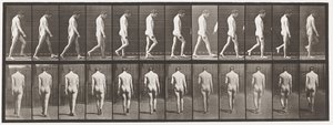 Plåt 549.Epilepsi; Vandring, 1885 av Eadweard Muybridge