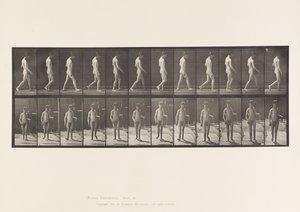 Plåt 551.Epilepsi; Vandring, 1885 av Eadweard Muybridge