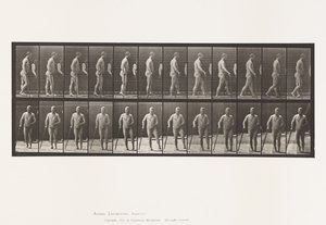 Tallrik 552.Hemiplegi; Walking with Cane, 1885 av Eadweard Muybridge