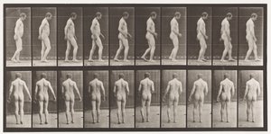 Plåt 553. Efter traumatism av huvudet; Vandring, 1885 av Eadweard Muybridge