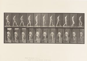 Plåt 554.Locomotor Ataxi; Vandring, 1885 av Eadweard Muybridge