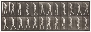 Tavla 555. Muskelatrofi av ben; Vuxen, A,B, Walking, 1885 av Eadweard Muybridge