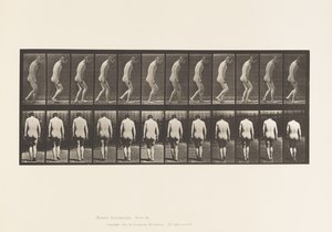 Tallrik 558. Paraplegi; Partiell; Vandring, 1885 av Eadweard Muybridge