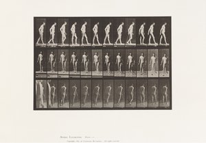 Platta 559. Disseminerad skleros; Går med Cane av Eadweard Muybridge