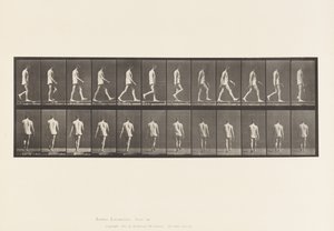 Platta 560.Locomotor Ataxi; Vandring, 1885 av Eadweard Muybridge