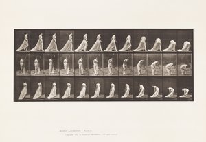 Plåt 56. Gå, vända och luta sig för att lyfta tåget av Eadweard Muybridge