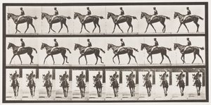 Tallrik 580.Gående; Sadel; Fullblods Bay Mare Annie G., 1885 av Eadweard Muybridge