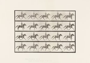 Plåt 591.Gungande av Eadweard Muybridge