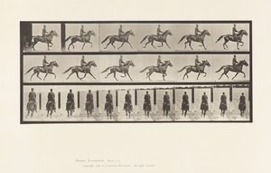 Plåt 592. Gungande (Pacing): Sadel; Brun häst Pronto av Eadweard Muybridge