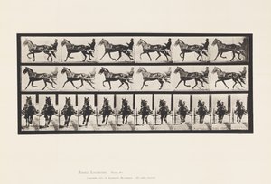 Tavla 595. Gungande (Pacing): Sulky; Brun häst Pronto av Eadweard Muybridge