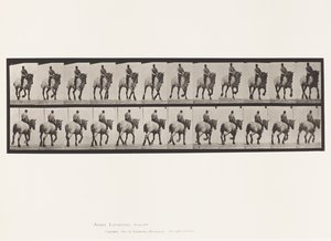 Tallrik 599. Trav; Barbacka; Mörkgrå Dusel av Eadweard Muybridge